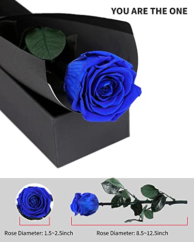 Blue Flowers for Delivery Prime, Preserved Blue Roses Flower Gifts for Women, Real Roses Single Rose Gifts for Her, Mom Birthday Gifts from Daughter, Valentines Flowers - color: 05-blue