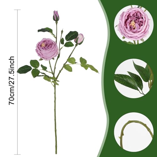 Real Touch Purple Austin Roses Peonies Artificial Flowers 4 Bouquets Latex Fake Peonies with Long Stem Realistic Faux Peonies for Wedding Party Home Table Centerpieces Decor (Deep Purple) - color: Deep Purple