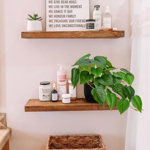 DILATATA Fake Plants Indoor 8 Inch Artificial Pothos Plant in Black Plastic Pot - Faux Potted Pothos Plant for Home Aesthetic Decor Living Room Shelf Office - color: Pothos #Plastic