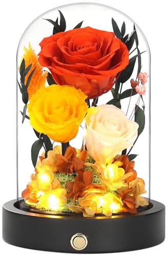 Preserved Roses in Glass Dome, Forever Flowers for Delivery, Yellow Rose Valentines Day Anniversary Birthday Gifts for Wife Women Her Orange Flowers - color: New Orange