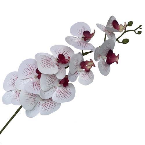 FagusHome Artificial Phalaenopsis Flowers Branches 9 Large Blooms Artificial Orchid Flowers Stem Plants 42 Inches 2 Pcs for Home Wedding Décor (White and Purpleline) - color: White and Purpleline