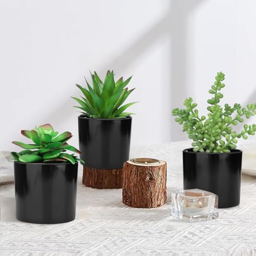 Hopewood Artificial Succulents Faux Potted Plant Decor, Small Fake Plants in Black Pot, Realistic and Lifelike for Book Shelf, Desk Decor, Home Office, Kitchen, or Bathroom Decor - Pack of 3 - color: Faux Plants-black