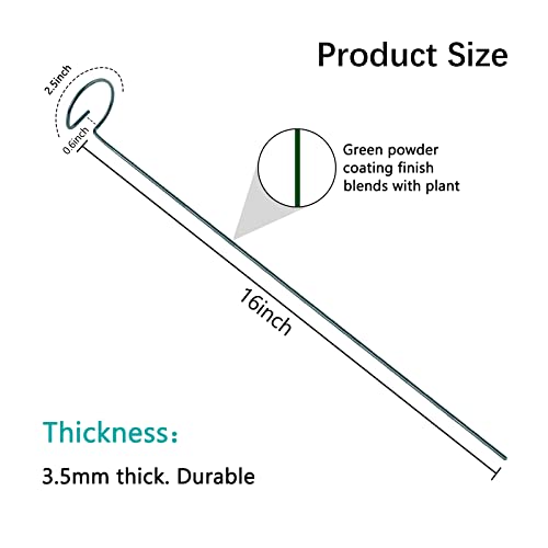 Thealyn 20 Pack 16 Inch Plant Support Stakes, Metal Single stemmed Flower Support Hoops，Garden Plant Stakes Plant Prop for Amaryllis Orchid Lily Rose Peony Tomatoes Gladiolus - color: 16 inch-Green