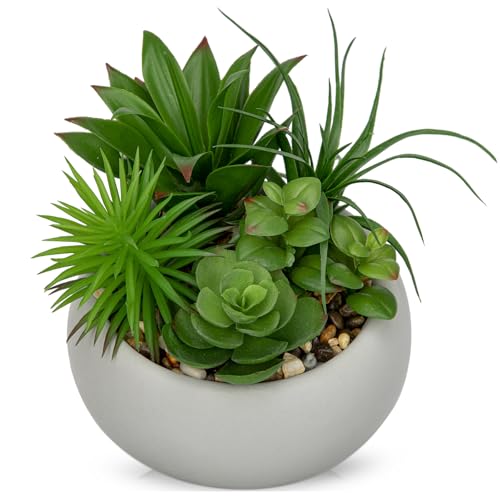 Hollyone Succulents Plants Artificial in Pots Fake Succulents for Outdoors Indoor Faux Succulent Arrangement Potted Plant in Cement Planter Bowl for Garden Office Desk Shelf Living Room Home Decor - color: Cement Grey