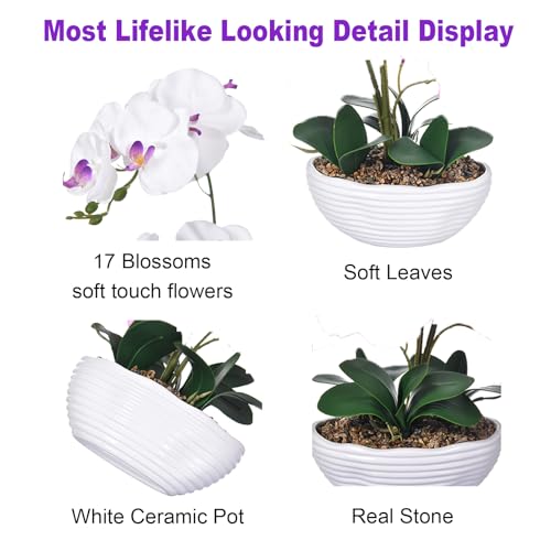 19" H Phalaenopsis Faux Orchid Plant Silk Orchid Centerpiece Artificial Floral Arrangement in Ceramic Pot (White) - color: White