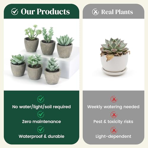 DomeStar Set of 6 Artificial Succulent Plants Potted, Assorted Decorative Faux Succulent Potted Fake Cactus Cacti Plants with Pots - color: Green