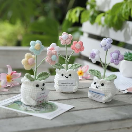 Crochet Sympathy Gifts for Loss of Loved One – No Words, Just Hugs Crochet Puff Flower Plant– Bereavement, Memorial, Get Well Soon, Grief Gift Idea for Loss of Grandpa Grandma Mom Dad - color: E-no Words, Just Hugs