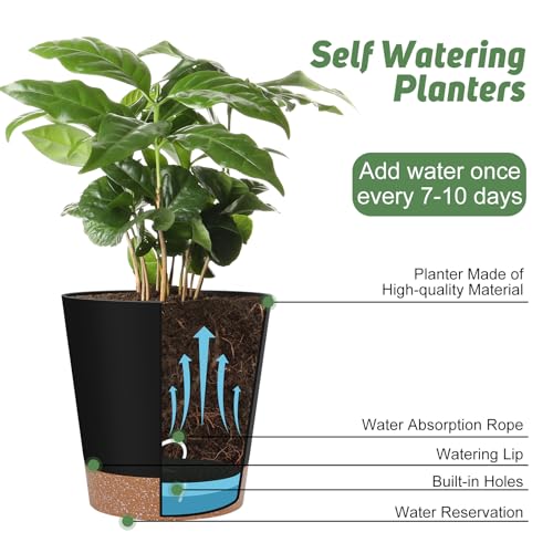 YNNICO Indoor Self Watering Planters with Drainage Holes and Saucers, 8, 7, 6.5, 6, 5.5, 5 Inches, Black, 6 Pots - color: Black, size: 8+7+6.5+6+5.5+5 inch