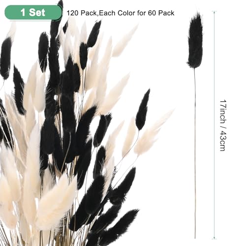 M METERXITY 120-Pack Bunny Tails Grass 17 Inch Fluffy Rabbit Tail Grass Dried Flowers Branches Vase Filler Dried Pampas Grass Decor for Home/Wedding/Vase/Office/Party [White, Black] - color: White, Black