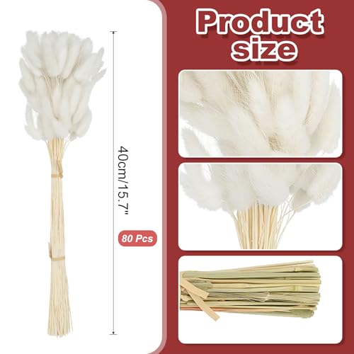 PATIKIL 15.7in Bunny Tails Dried Flowers, 80pcs Pampas Grass Decor Rabbit Tail Natural Pampas Grass Bulk Fluffy Faux Pampas Grass Dried for Home Boho Decor Vase Wedding Table, White - color: White