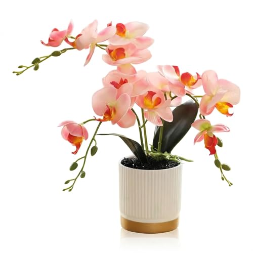 Artificial Orchid Plant with Pot, Realistic Faux Phalaenopsis Orchid with Moss, Lightweight Desktop Decor for Home and Office (Pink Two Branches) - color: Pink Two Branches