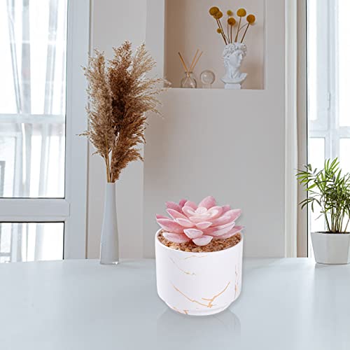 ZENIDA Succulent Artificial Plants,Cute Fake Succulents in 1 White Ceramic Pots,Small Fake Plants for Office,Table,Desk,Bathroom, Bedroom,Aesthetic Room Shelves Decor,Desk Decorations for Women Office - color: White