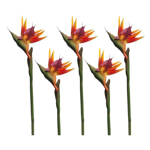 Calcifer 32'' Real Touch Bird of Paradise Artificial Flowers Bouquet for Home Garden Decoration/Wedding Party Decor (OrangRed,5 Stems) - color: Orangred,5 Stems