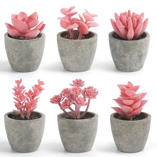 DomeStar Set of 6 Artificial Succulent Plants Potted, Assorted Decorative Pink Faux Succulent Potted Fake Cactus Cacti Plants with Pots - color: Pink