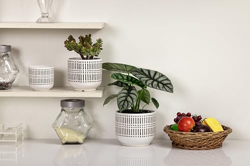 Docrin 3-Pack Ceramic Plant pots Set - 6.5"+5.3"+4" Dual-Tone Flower Pots with Drainage Holes, Modern Indoor Outdoor Planters for Succulents/Herbs/Large Plants, Home Office (Brownish Black & White) - color: A-brownish Black White