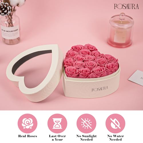 Rosaura Heart-Shaped Preserved Roses Gift Box - Real Forever Flowers for Christmas, Birthday, Valentine's & Mother's Day (Pink, 16 roses) - color: Pink, size: 16 roses
