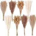 200PCS Dried Flower Bouquet – Pampas Grass, Floral Decor for Home, Wedding, and Boho Style | Perfect for Vases, Fall, Spring, Summer, and Winter Arrangements - size: 200PCS