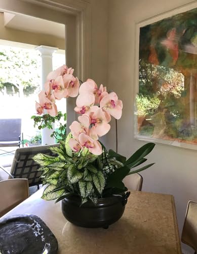 IPOPU 2pcs Champagne Pink Orchid Artificial Flowers, 34.3" Real Touch Fake Orchid Latex Phalaenopsis Branches for Home Party Wedding Bridal Shower Decoration - color: Champagne