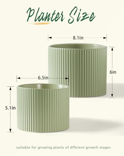 Ceramic Plant Pots, 8.1 + 6 Inch Planters for Indoor Plants, Modern Flower Pot for Plant with Drainage, Medium Cylinder Flower Pots for Indoor/Outdoor, House Plants, Matte Green - color: Matte Green