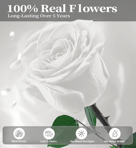 Preserved Flowers for Delivery,White Rose Bouquets That Last 5 Years,Birthday Flowers Gifts for Women Mom Grandma Wife Friends,Mothers Day Roses Gift,Romantic Floral for Anniversary or Valentine’s Day - color: White, size: Single Rose