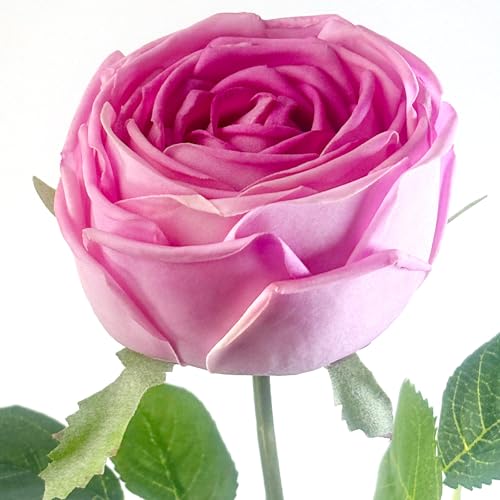 5Pcs Rose Real Touch Silk Flowers - Lifelike Roses Peony | Lifelike Rose roses & peonies with soft latex touch, no watering needed. Perfect for wedding bouquets, home decor & DIY - color: Rose