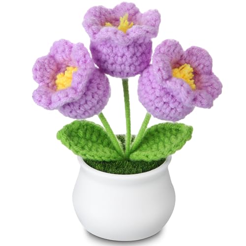 Crochet Flowers Bouquet for Home Office Desk Decorations, Birthday Gifts for Women Her Mom Teacher Coworkers Sister Friends, Purple