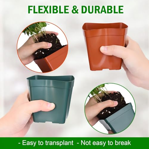 June Fox 100 Pack Green Red Square Nursery Pots with Drainage Holes 3.3 Inches Flexible Plastic Seedling Pots Square Pots for Plants, Succulent, Flower, with Plant Labels - color: Green and Red