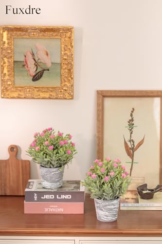 2 Pack Small Desk Plants, Artificial Bathroom Plants Decor with Flower in Vintage Melamine Pots, Faux Plants Indoor for Shelf Decor in Home Office, and Spring Decor (Fuchsia) - color: Fuchsia