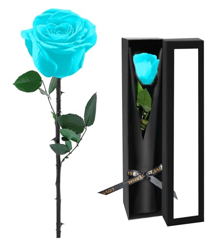 Preserved Flowers for Delivery,Light Blue Rose Bouquets That Last 5 Years,Birthday Flowers Gifts for Women Mom Grandma Wife Friends,Mothers Day Gift,Romantic Floral for Anniversary or Valentine’s Day - color: Light Blue, size: Single Rose