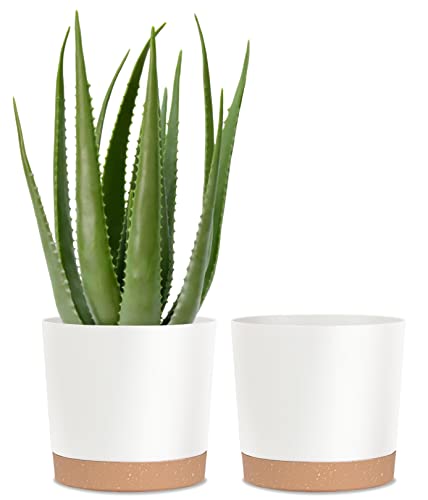 kubvici Plant Pots for Indoor Plants, 2 Pack 10 Inch Plant Pot Plastic Flower Pots Planters with Drainage Saucer for Indoor Outdoor Garden Home (10" White) - color: White, size: 10 inch