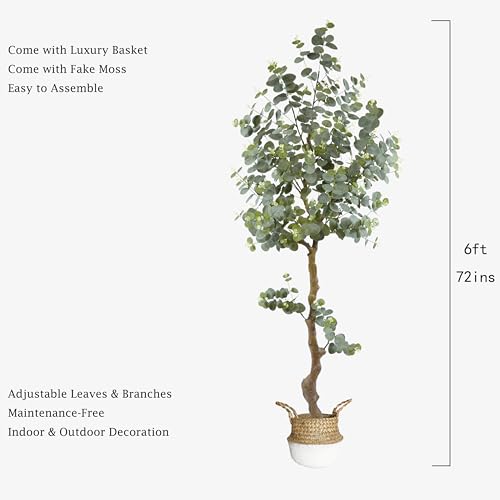 Artificial Eucalyptus Tree 6ft, Faux Plant with Basket, Fake Eucalyptus Trees with White Silver Dollar Leaves, Faux Potted Plants for Home Office Decor Indoor Outdoor - color: Eucalyptus, size: 6ft