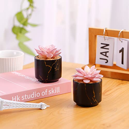ZENIDA Succulent Artificial Plants,Cute Fake Succulents in 2 Black Ceramic Pots,Small Fake Plants for Office,Table,Desk,Bathroom, Bedroom,Aesthetic Room Shelves Decor,Desk Decorations for Women Office - color: Black
