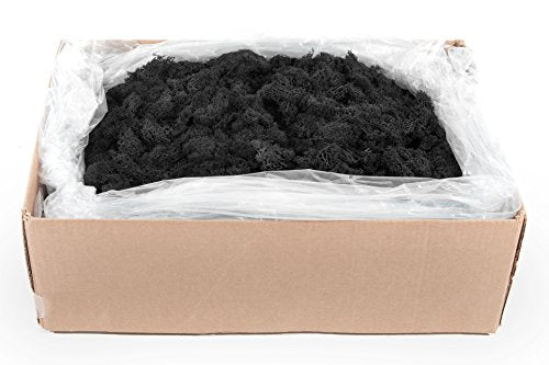 SuperMoss (21790) Reindeer Moss – Soft Preserved Moss for Home Decor, Crafts, Terrariums, Floral Design, and Wedding Decorations, 2,588 cu in, Black - color: Black, size: Appx. 10 lb Bulk Case