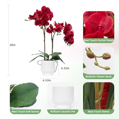CXGS Orchids Artificial Flowers Real Touch Fake Flowers in Ceramic Pot 20" Red Faux Orchid Plant Lifelike Silk Phalaenopsis for Centerpiece Hotel Home Indoor Decor - color: Red- White Vase