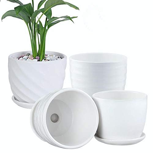 sietpoek Plant Pots - 4.7 Inch Cylinder Ceramic Planters with Connected Saucer, Pots for Succuelnt and Little Snake Plants, Set of 4, White - size: 4.7 Inch