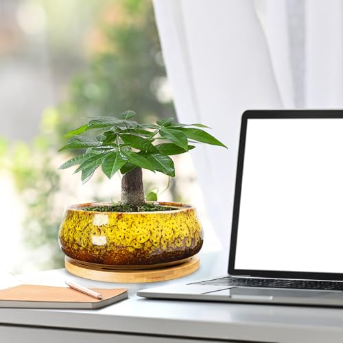 ARTKETTY Succulent Pots - 8 Inch Plant Pot, Large Bonsai Pots with Drainage Tray, Ceramic Planters for Indoor Outdoor Plants, Round Shallow Cactus Flower Plant Container Bowl Decorative Home Garden - color: Yellow