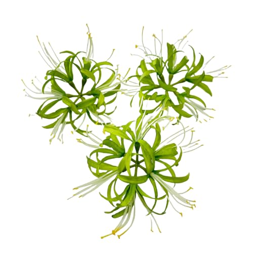 Silk Spider Plant Fake Flowers Heads,Artificial Flowers Spider Silk Flowers for Crafts,Fake Flowers Bulk,Artificial Flowers for Cake Decoration Wedding Party Birthday Home Décor (3, Green) - color: Green