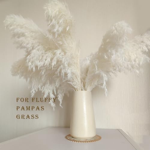 Beige Vase - Beige Ceramic Vase, 6“ Neutral vase Home Decor, Boho Off White Cream Vases for Flower, Minimalist Modern Ivory vases for Centerpieces, Room Decor, Living Room, Bedroom or Gift - color: Beige, size: Small