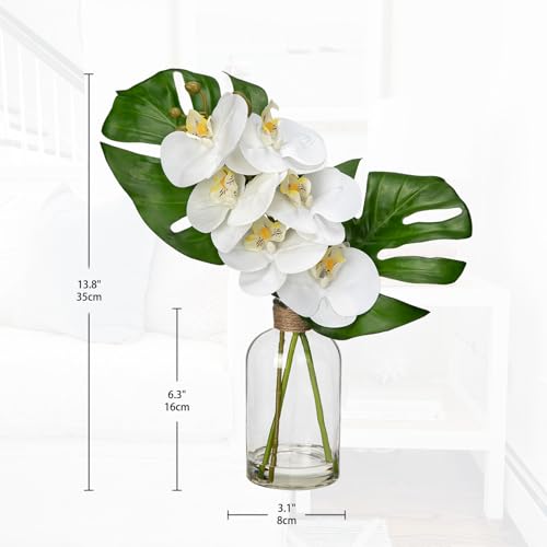 Artificial Monstera Plant and Fake Orchid in Glass Vase, 13.8" Real Touch Fake Plant Tropical Leaves Orchids Artificial Flowers with Faux Water for Home Bathroom Kitchen Office Centerpiece Room Décor - color: Monstera + Orchids