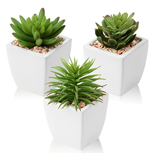 Hollyone Small Faux Succulents in White Ceramic Pot 3Pcs Artificial Succulents Fake Plant Gifts Home Decor Accents Centerpieces Bathroom Decor Mum Gifts Greenery Decoration Succulents Wedding - color: 3pack - White Ceramic 2