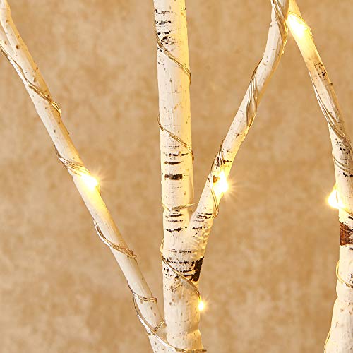 Hairui Lighted Branches 150L 8 Functions Warm White and Multicolor Fairy Lights 30IN for Room Easter Christmas Holiday Decoration - style: White Birch+ Multicolor 1set