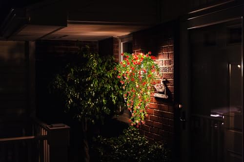 Vine Plant Fake Ferns Plants Large Faux Artificial Hanging Plants Wall Plants Artificial Hanging Plants Outdoors Fake Hanging Plant Greenery Vine with Lights for Outdoor Plants Decor 3 Pcs(Red) - color: Red, size: Hanging Plants With Lights