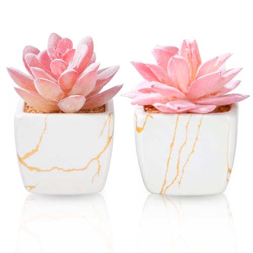 Taybonds Artificial Succulent in 2PCS White Ceramic Pot, Small Fake Succulents Plants for Office and Desk Decor,Bathroom, Bedroom, Shelves, Vanity for Women - color: White