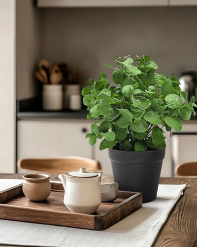 Coferset Small Fake Plants Mint Artificial Potted Plants for Home Office Bathroom Shelf Farmhouse Coffee Table Decor (Green) - color: Mint