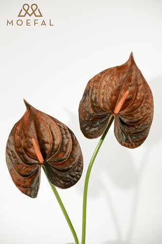 Real Touch Anthurium Artificial Flowers, 8pcs Brown Faux Tropical Flowers with Stems for Boho Wedding Bouquets, Rust Fall Centerpieces & Jungle Party Decoration - color: Brown