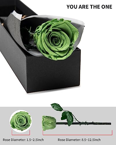 Green Flowers for Delivery Prime, Preserved Green Roses Flower Gifts for Women, Real Roses Single Rose Gifts for Her, Mom Birthday Gifts from Daughter, Valentines Flowers - color: 14-yellow Green