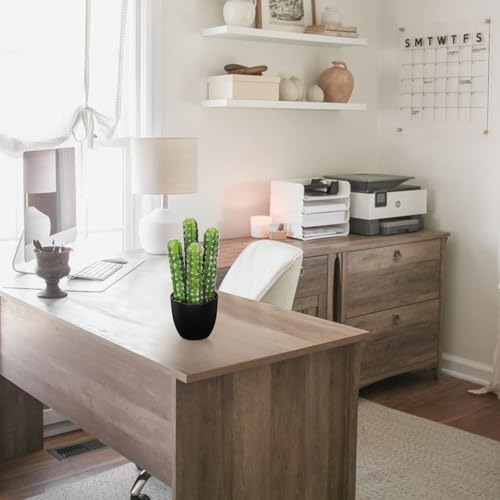 Artificial Cactus Plants 9.3 inch Small Faux Cactus Plants Indoor Fake Desert Cacti Succulents Plants Artificial Plant Indoor with Pot Cactus Decorations for Home Decor Office Desk Tabletop Shelf - size: SUP_170