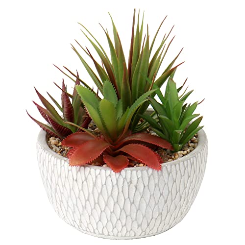 Briful Small Fake Plants Assorted Faux Succulents in Pots Realistic Succulents Plants Artificial with Cement Pots for Home Table Office Desk Bathroom Shelf Living Room Decor - color: Succulent #02