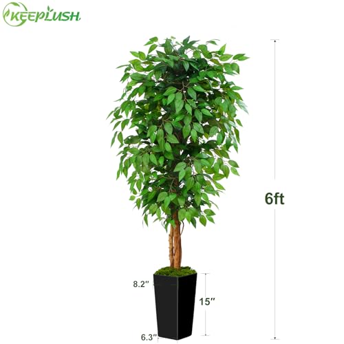 6ft Ficus Artificial Tree with 3 Natural Curved Trunks, 74" Tall Lush Faux Tree for Home Decor Indoor, Green Lifelike Fake Ficus Tree with Black Planter Pot - color: Black Planter, size: 6ft