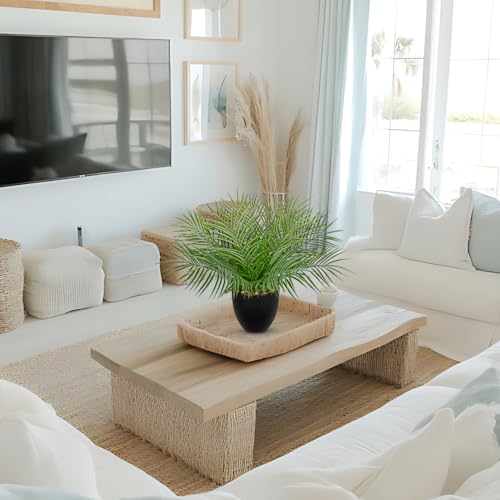 Briful Artificial Palm Plant in Black Pot, 18” Faux Tropical Tabletop Plant with 14 Realistic Leaves, Small Potted Palm Tree for Farmhouse, Coffee Table, Entryway, Bathroom, Shelf & Living Room Decor - color: 18'' Tall Black